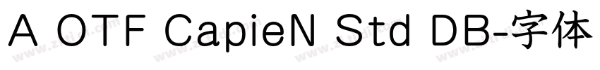 A OTF CapieN Std DB字体转换